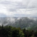 dsc_2203
