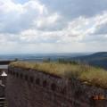 DSC02616