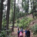 IMG-20230915-WA0001