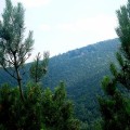 img_0272_2