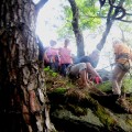 img_0295-2