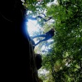 img_0353_2
