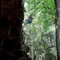 img_0361_2