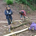 dsc_0620