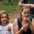 img_0401