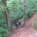 img_0767