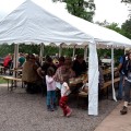 20160605 Sommerfest 8 (Large)