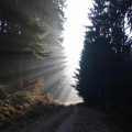 cimg0021